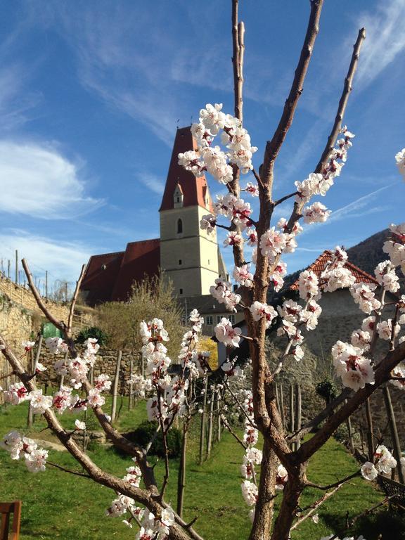 Gaestehaus Haiminger Ehemalig Schmelz Weissenkirchen in der Wachau Bagian luar foto